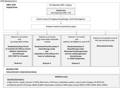 Toward Improved Diagnosis Accuracy and Treatment of Children, Adolescents, and Young Adults With Ependymoma: The International SIOP Ependymoma II Protocol